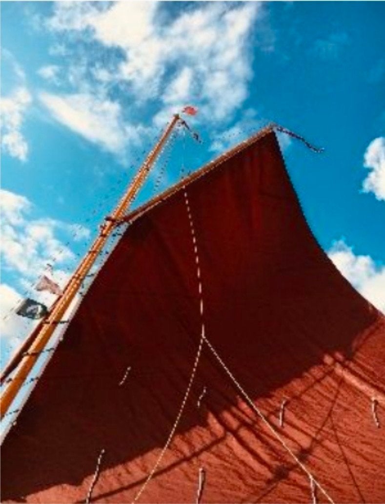 Fricke & Dannhus Seezunge A, nr. 40 - Klassieke Zeilboot, Watersport en Boten, Ophalen, Overige merken, Gebruikt, Binnenboordmotor