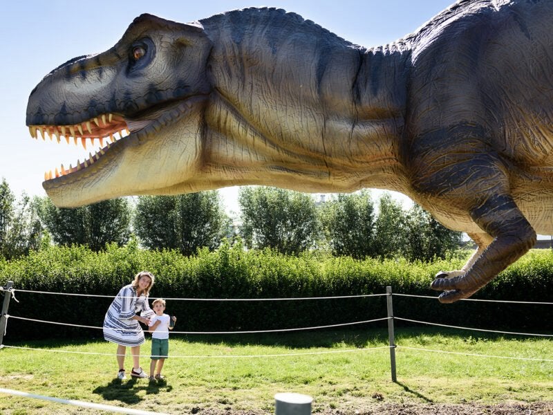 3x Dino experience park gouda, Tickets en Kaartjes, Eén persoon, Ticket of Toegangskaart