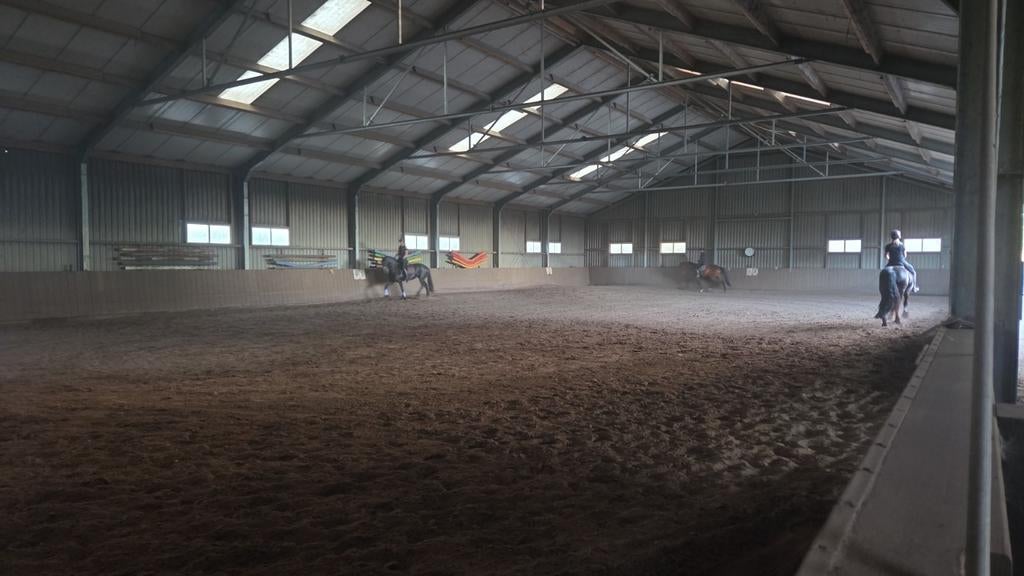 pensionstal nog plek voor 2 paarden, Dieren en Toebehoren, Ophalen of Verzenden, Overige soorten