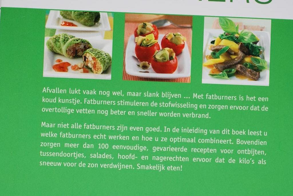 Fatburners - 100 slankrecepten (2014), Verzenden, Zo goed als nieuw, Gezond koken