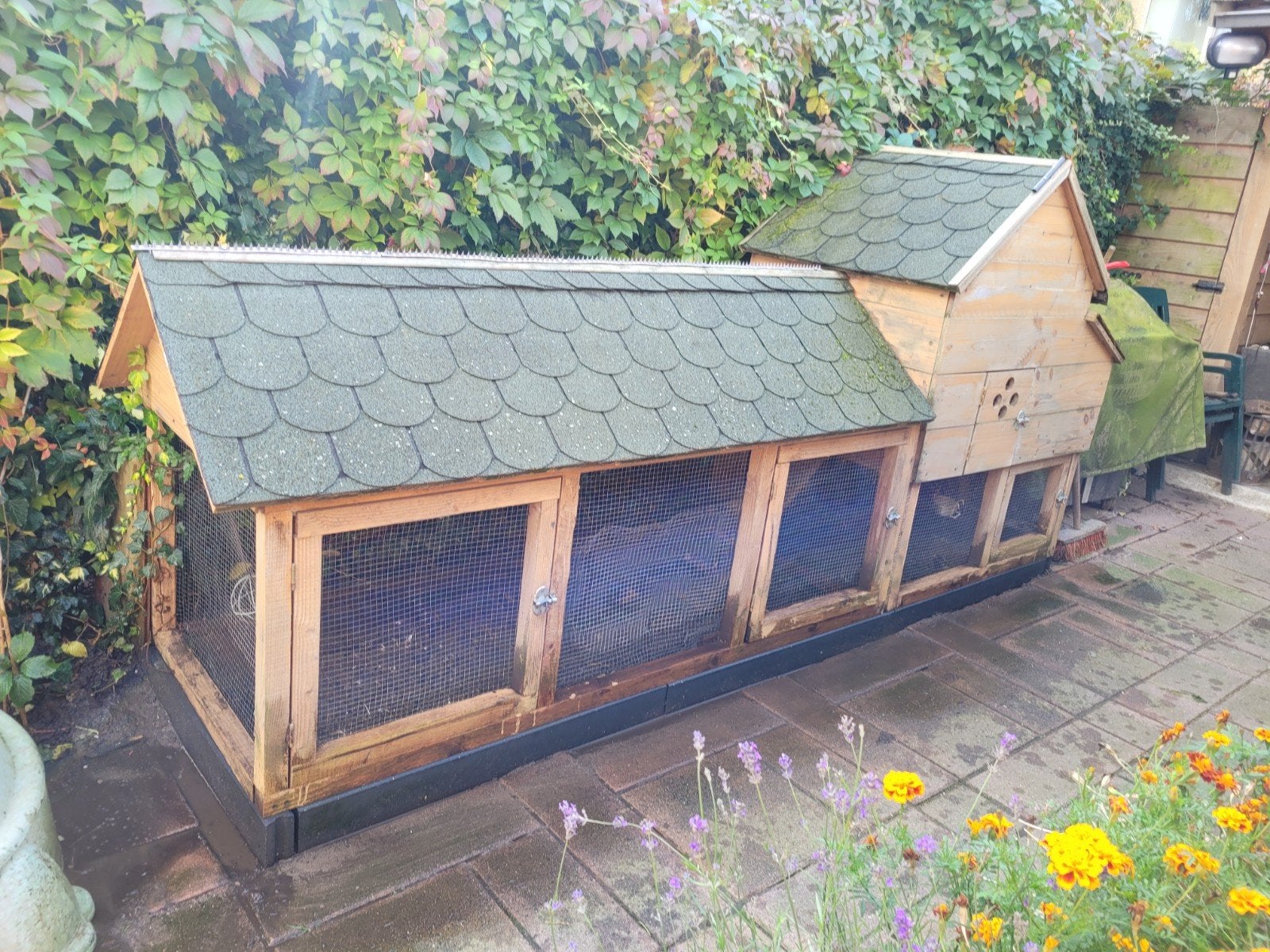 Te koop Kippenhok van Douglas hout, Dieren en Toebehoren, Ophalen, Gebruikt, Hout, Overige typen