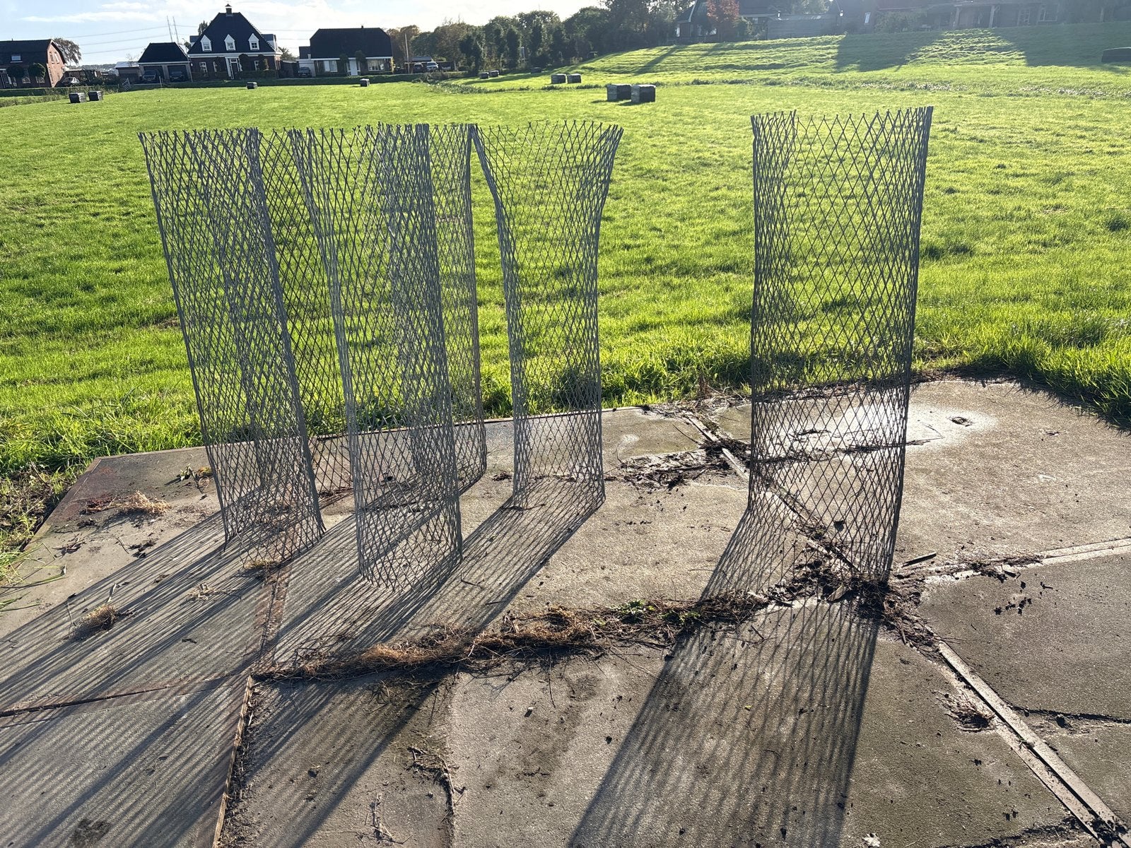 Boomkorf of boombescherming, Meerdere dieren, Geit