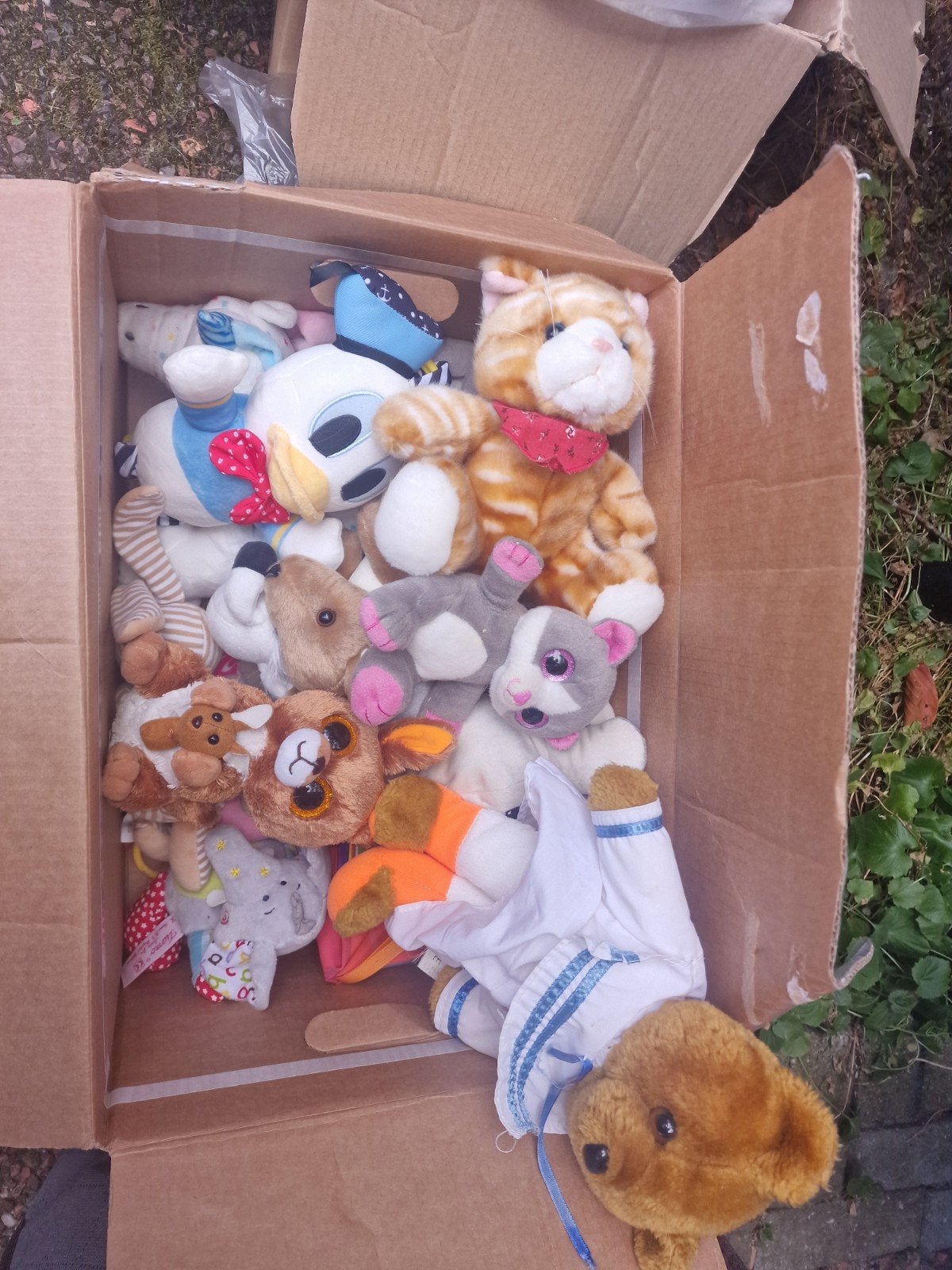 Grote doos vol knuffels - diverse soorten en maten, Gebruikt, Overige merken, Overige karakters, Overige typen