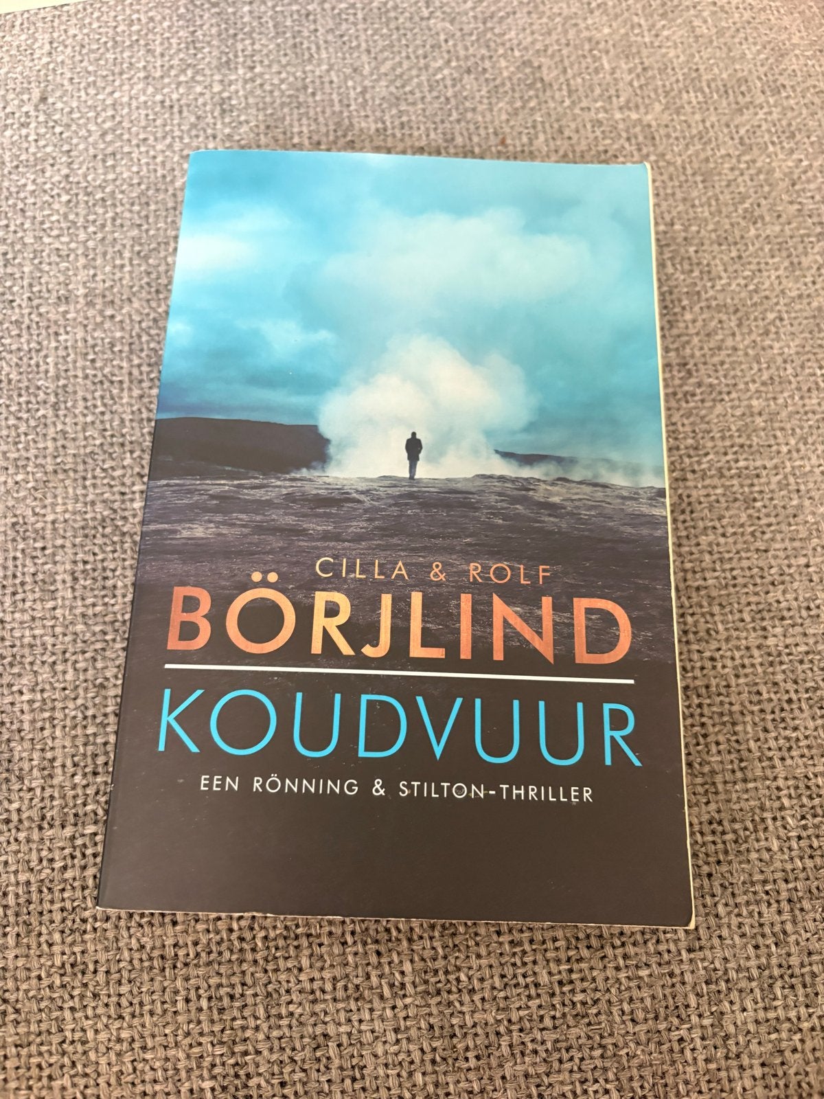 Koudvuur - Cilla & Rolf Börjlind (Thriller), Boeken, Ophalen of Verzenden, Gelezen, Scandinavië