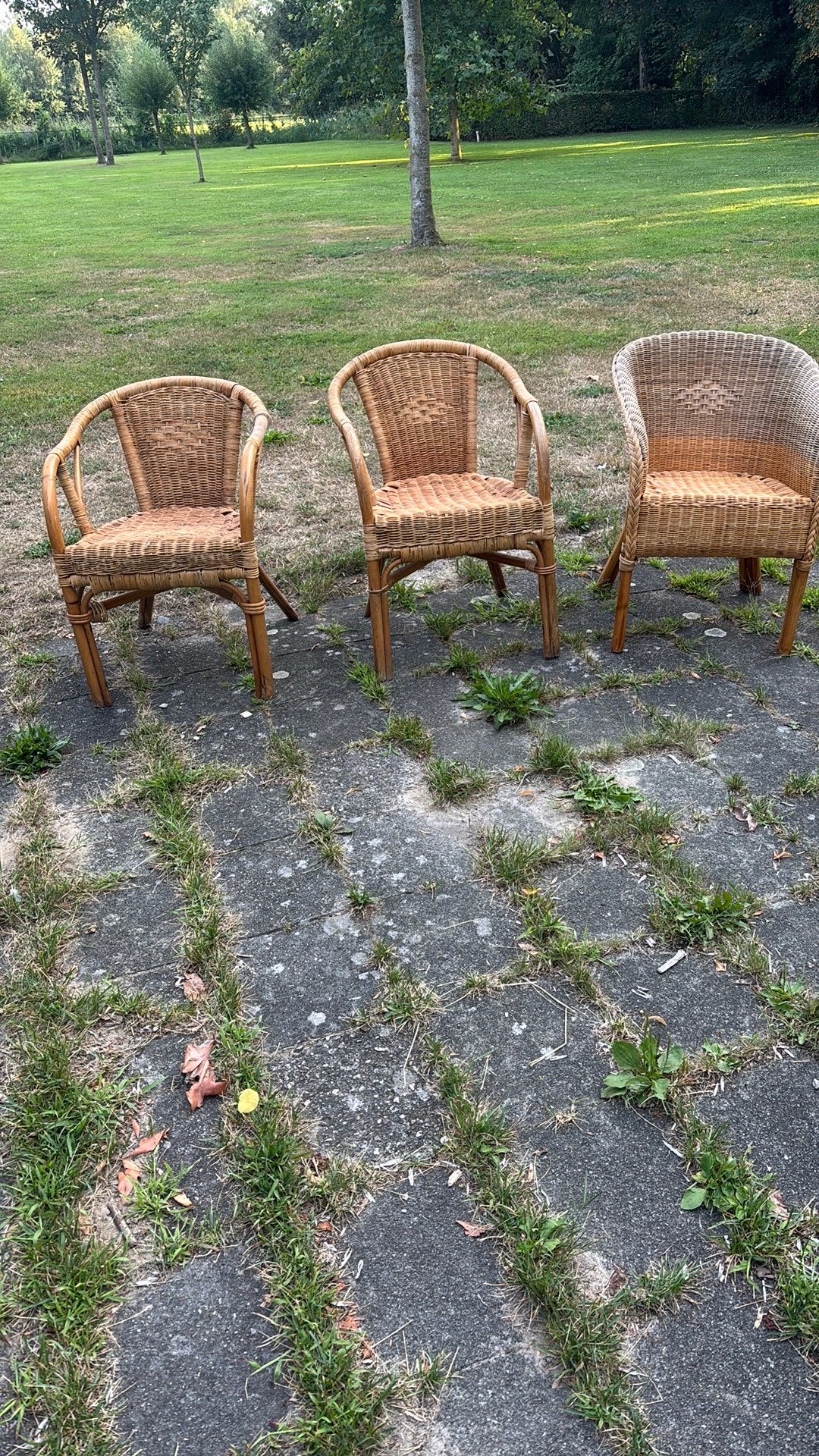 Rieten stoelen, Gratis., Ophalen