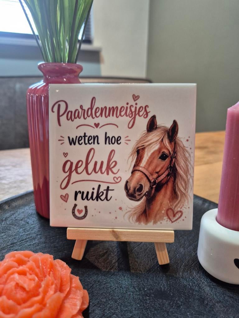 Tegeltje Paardenmeisjes weten hoe geluk ruikt, Ophalen of Verzenden