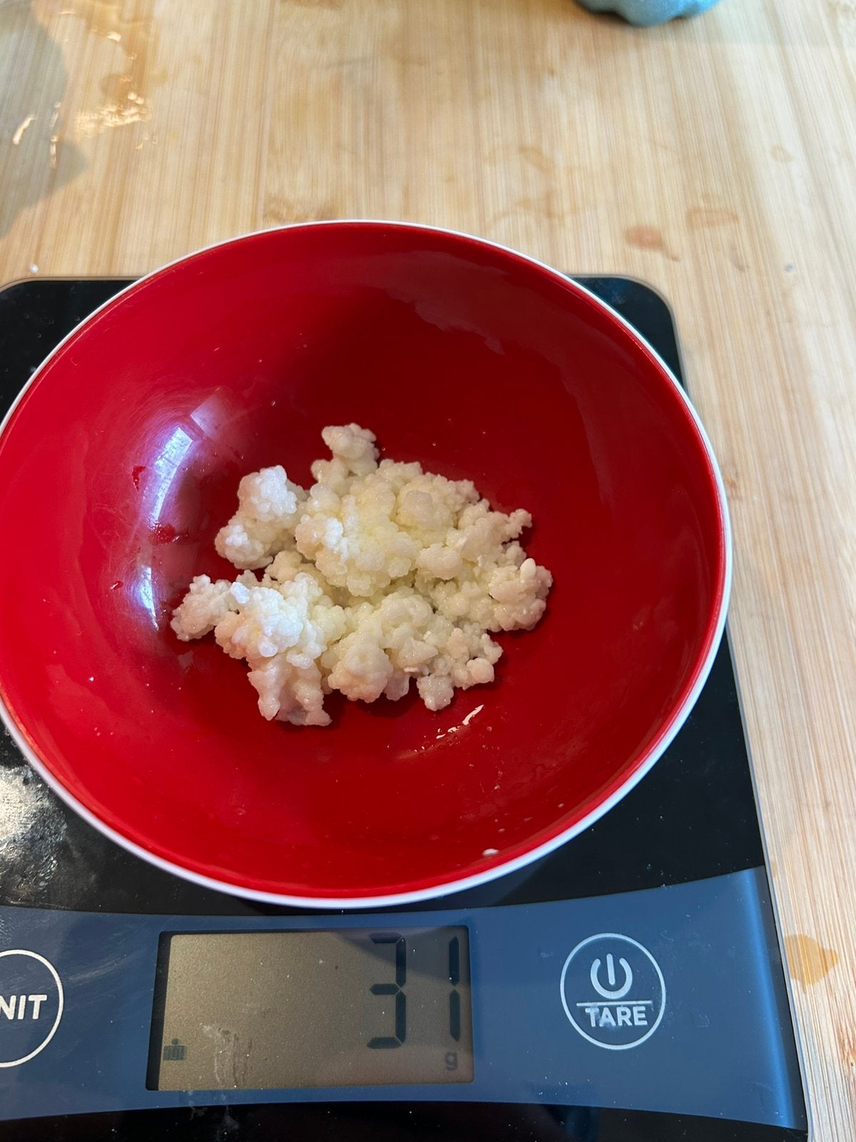 Melkkefir korrels, Ophalen