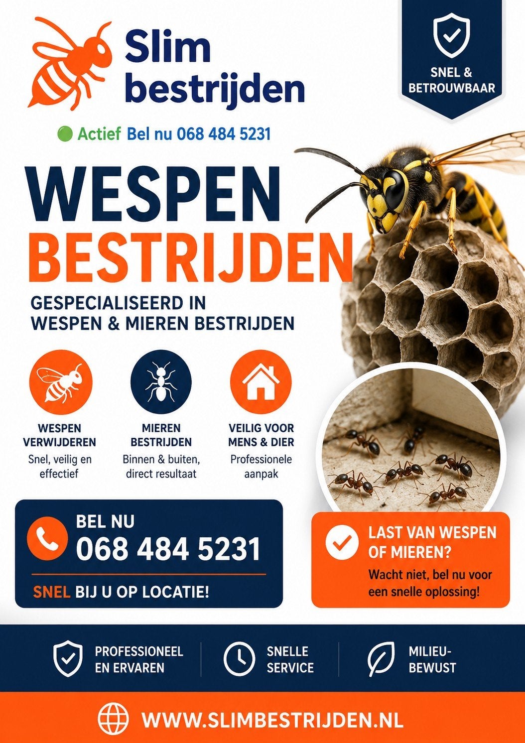 Wespen- en Mierenbestrijding – Altijd dezelfde dag geholpen, Diensten en Vakmensen, Ongediertebestrijding
