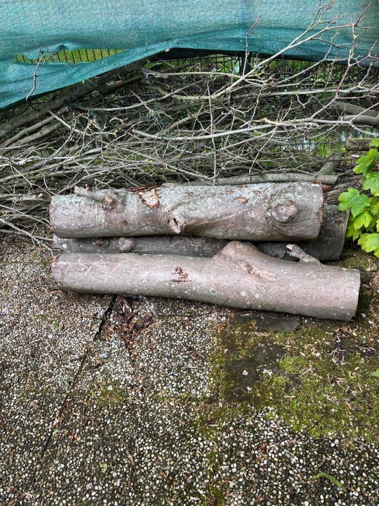 Haardhout stammen, Tuin en Terras, Minder dan 3 m³, Ophalen, Overige houtsoorten, Stammen