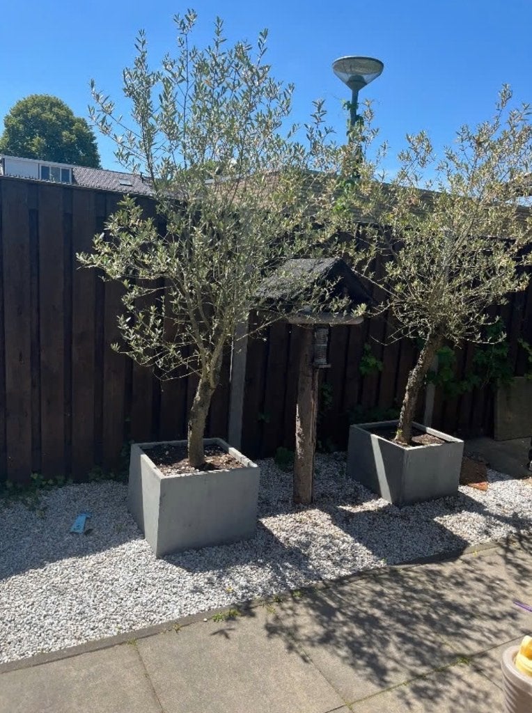 Steentjes tuin, Tuin en Terras, Ophalen, Gebruikt