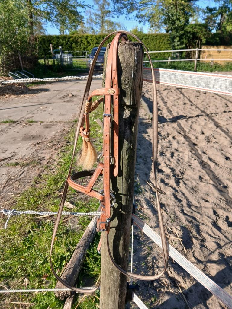 Bitloos hoofdstel, Dieren en Toebehoren, Ophalen of Verzenden, Nieuw