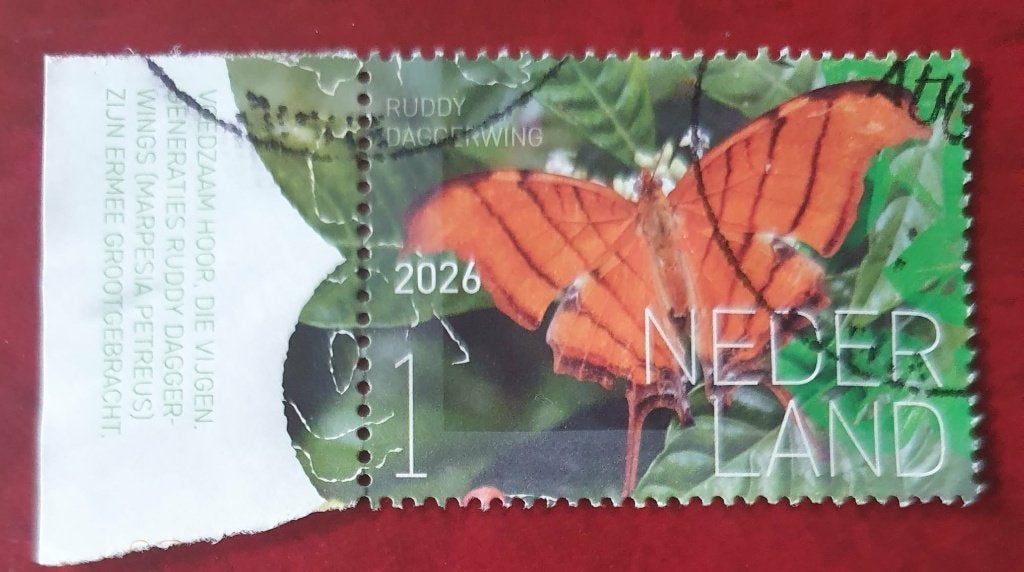 260-26 Nederland 2026 / Ruddy Daggerwing met tab, Postzegels en Munten, Verzenden, Na 1940, Gestempeld