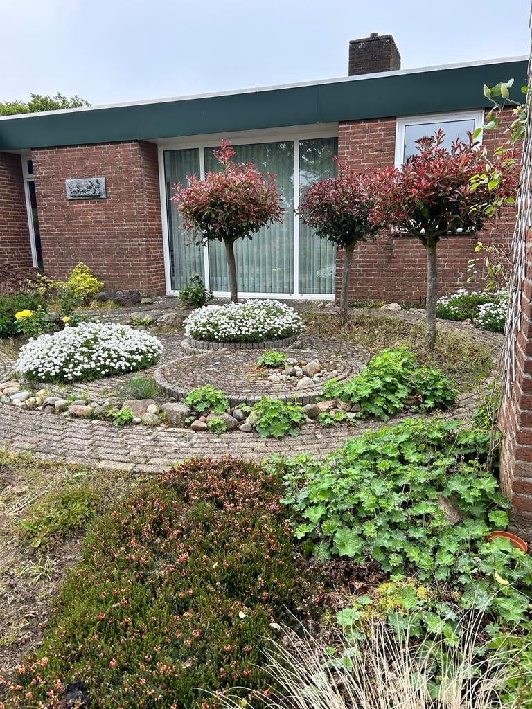Grote natuurstenen voor tuin of decoratie, Tuin en Terras, Grind, Keien en Split, Ophalen, Overige materialen, Gebruikt, Kei