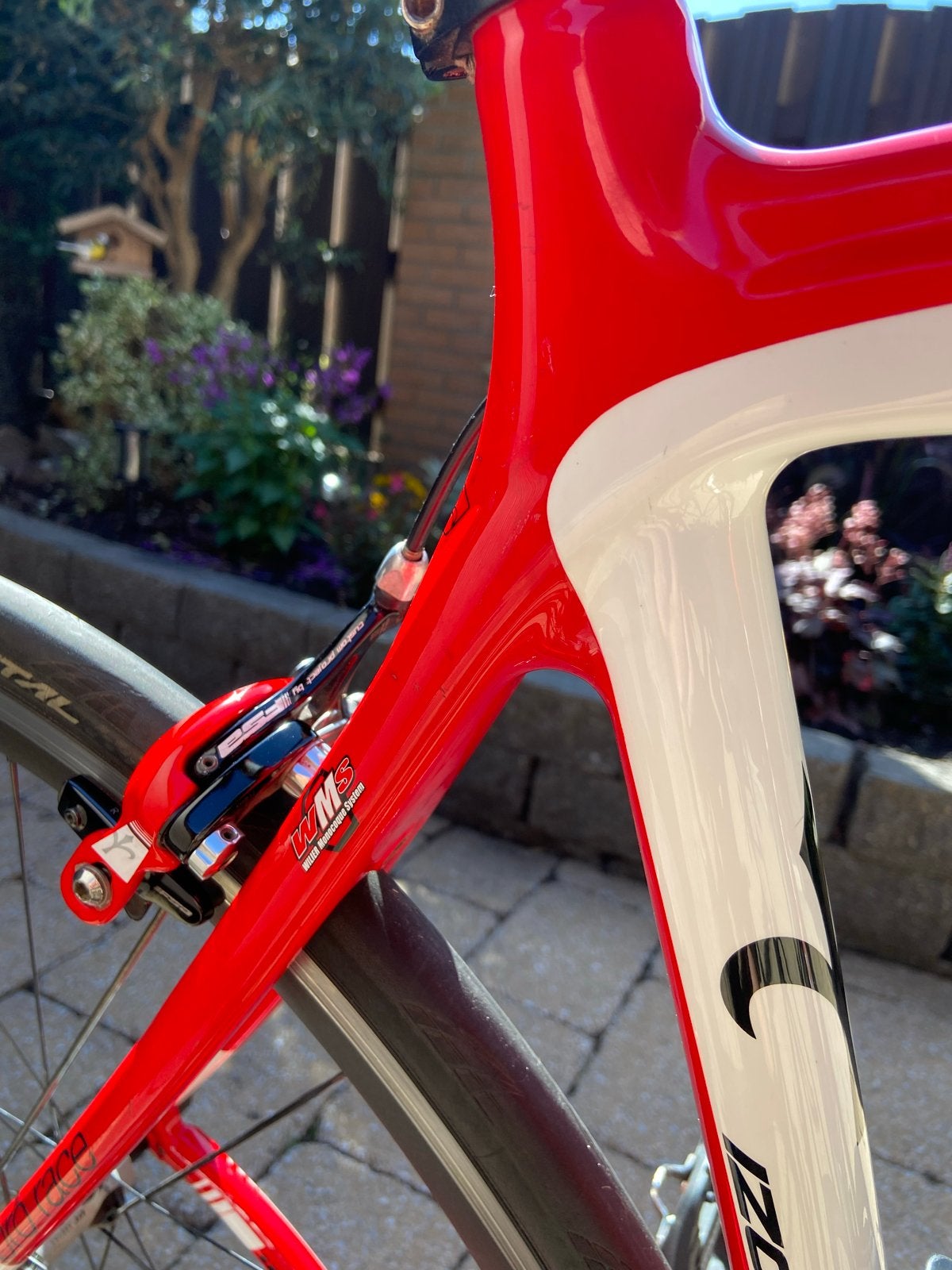 Wilier racefiets met nieuwe cassette, ketting en banden, Gebruikt, Carbon, Velgrem, Ophalen