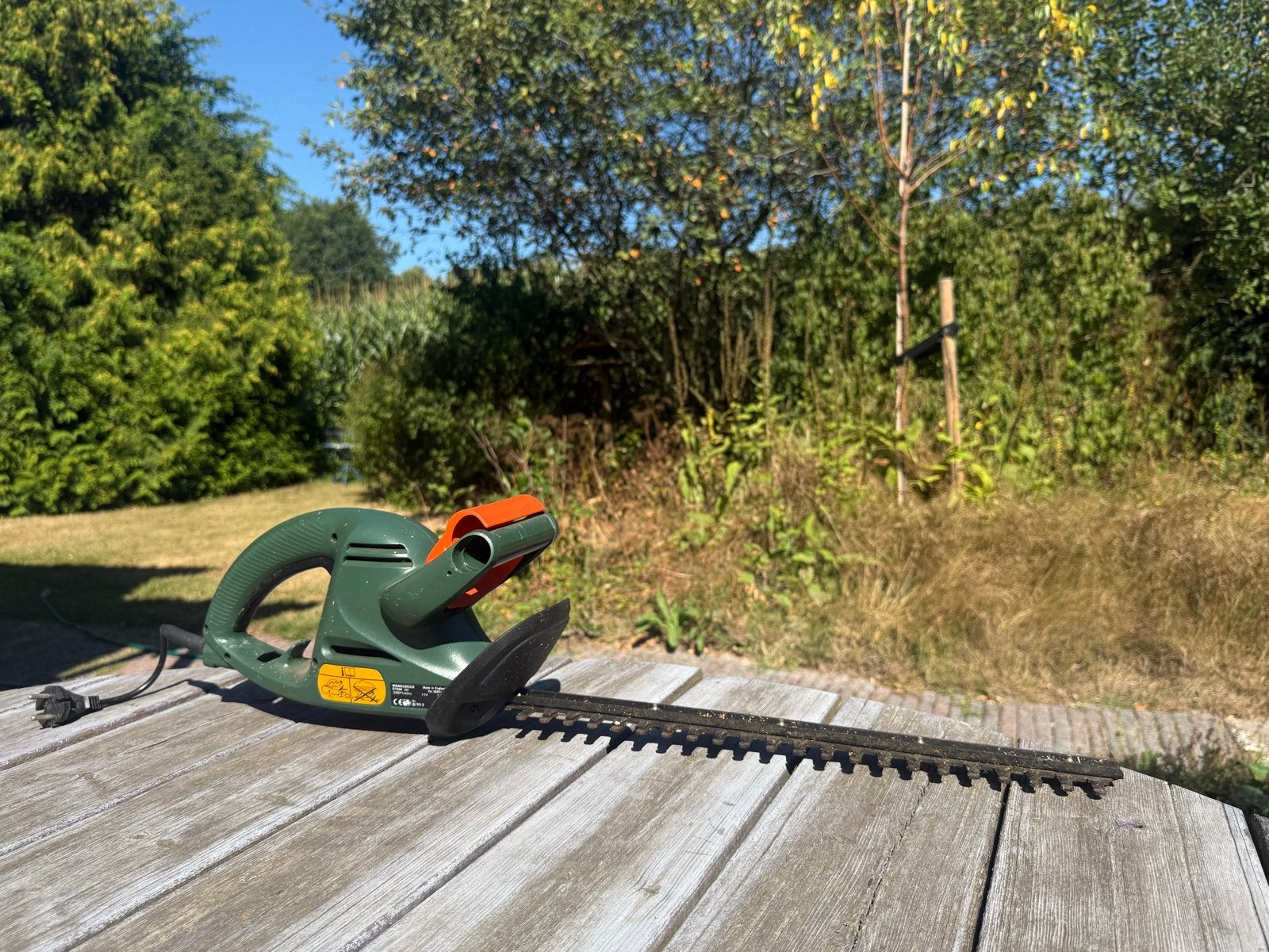 Black & Decker GT250 heggenschaar, Ophalen, Gebruikt, Elektrisch