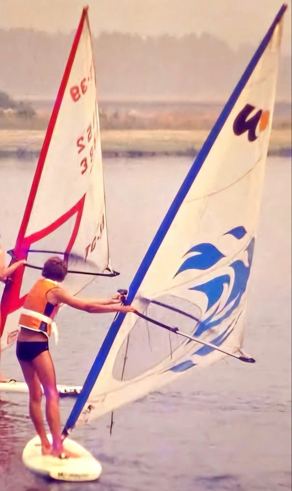 Wayler  windsurfplank met diverse zeilen, Met zeil(en), Gebruikt, 5 tot 6.5 m², 300 cm of meer