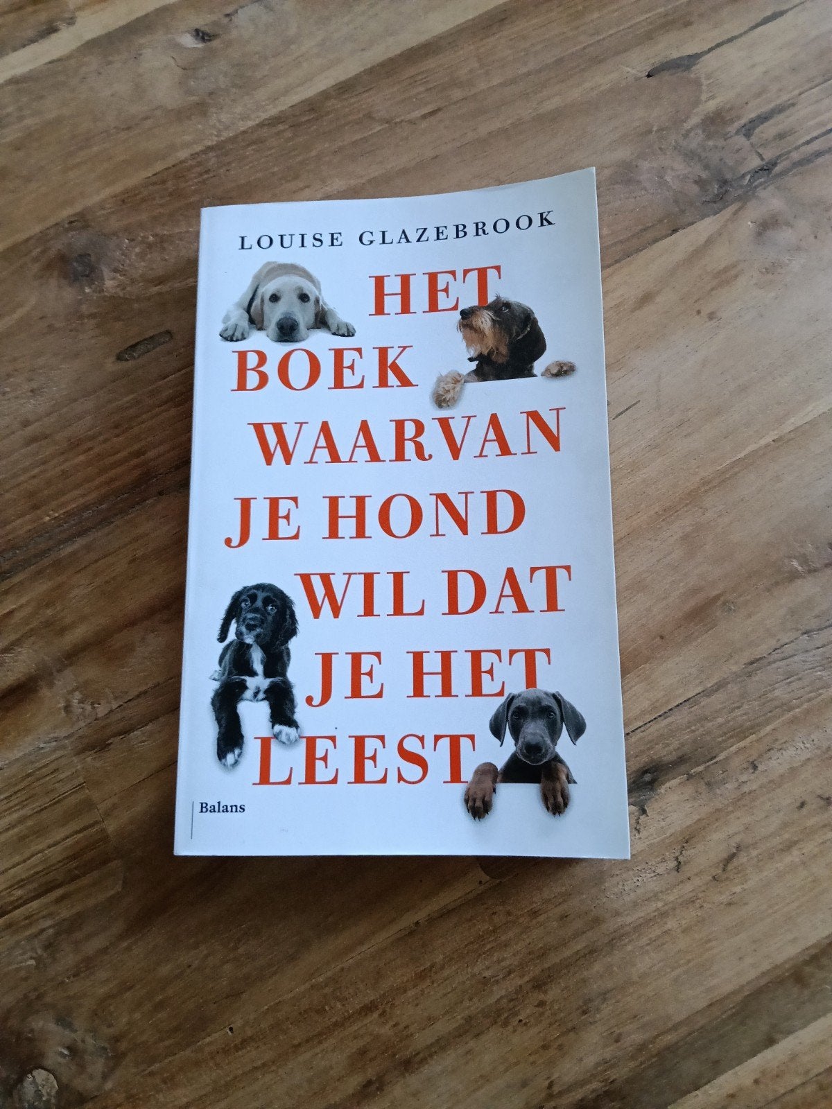 Boek "wat je hond vind dat...., Boeken, Ophalen, Nieuw, Honden