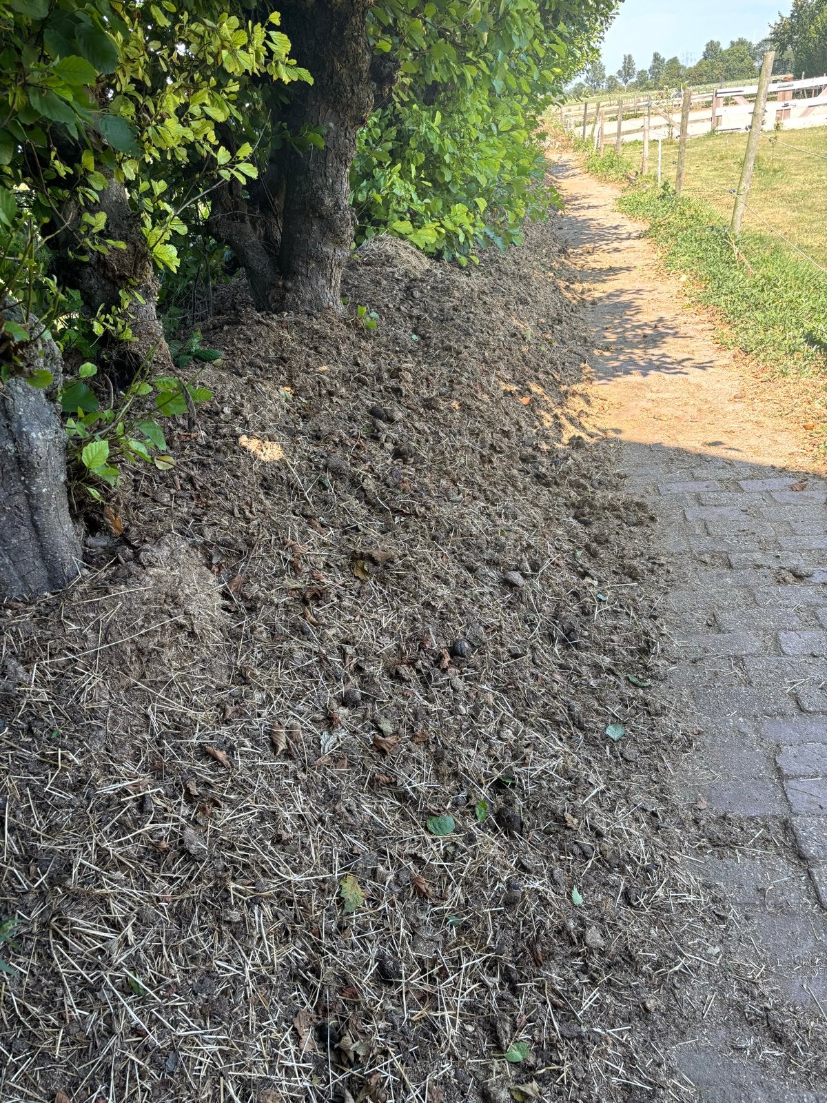 Gratis: Deels gecomposteerde paardenmest voor moestuin, Ophalen, Mest