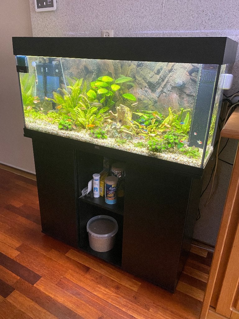 GRATIS AF TE HALEN: Juwel aquarium en meubel, Dieren en Toebehoren, Ophalen, Gebruikt, Gevuld zoetwateraquarium, Juwel