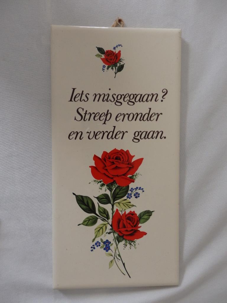 Tegel,  iets misgegaan, Ophalen of Verzenden, Zo goed als nieuw