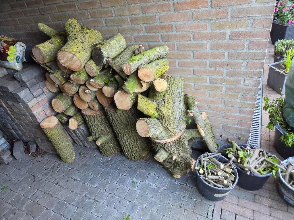 Snoeihout gratis ophalen, Tuin en Terras, Haardhout, Minder dan 3 m³, Ophalen, Overige houtsoorten, Stammen