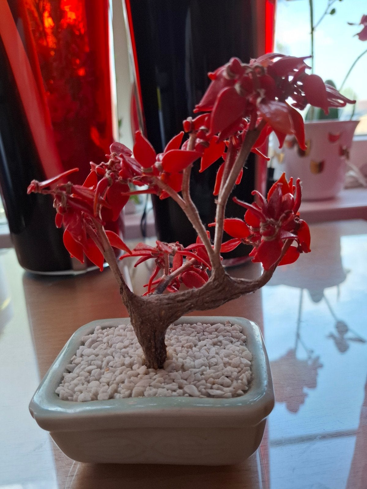Kleine rode bonsaiboom in potje - 17x14cm, Verzenden, Zo goed als nieuw, Rood, Oosters