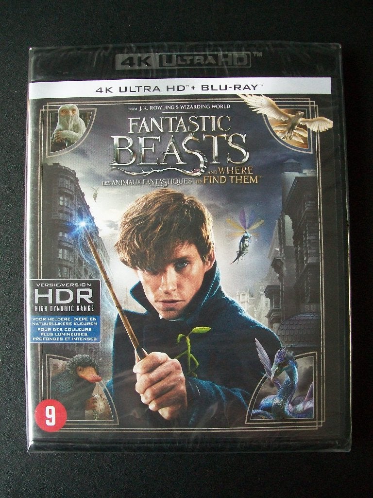 Blu-ray 4K Ultra HD Fantastic Beasts And Where To Find Them, Avontuur, Verzenden, Nederlands, Film