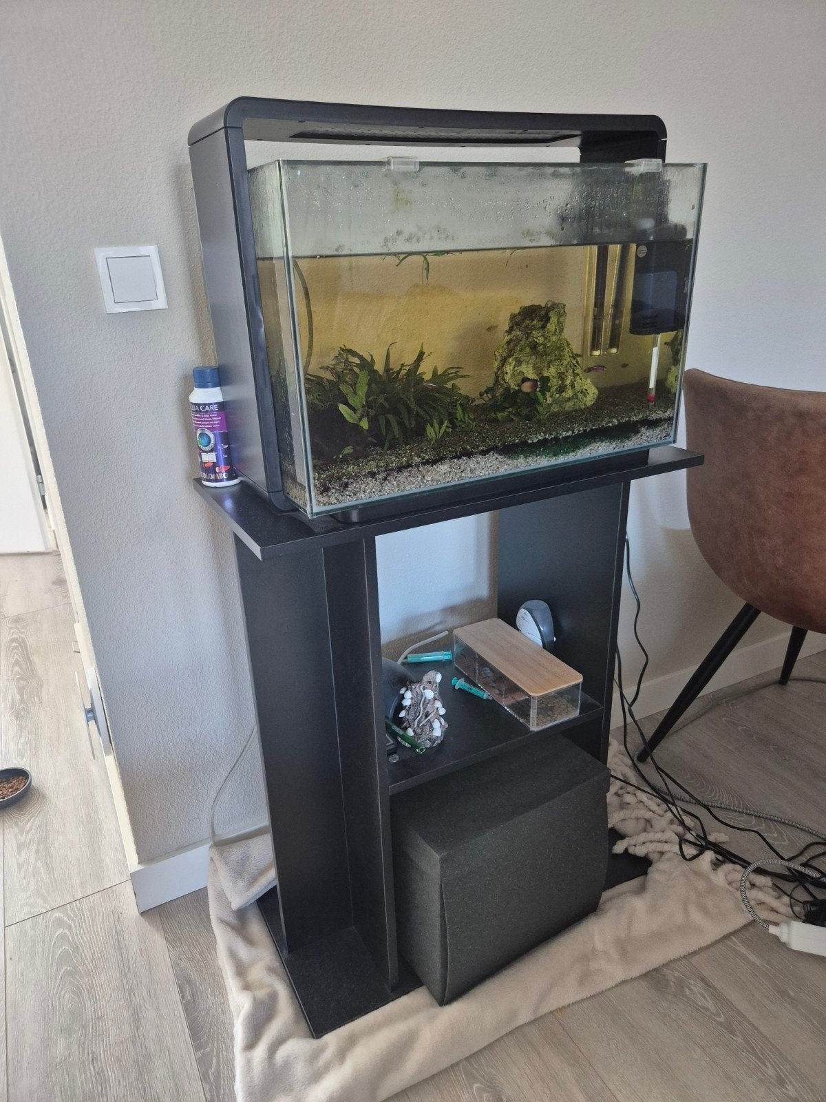 Aquarium home 65 + inhoud, Ophalen, Zo goed als nieuw, Gevuld zoetwateraquarium