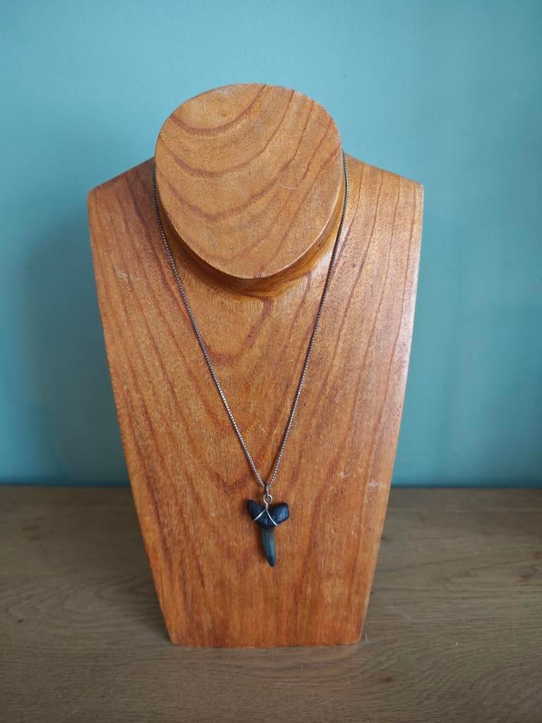 Echt Zilver Vintage Ketting met Haaientand Hanger, Sieraden, Tassen en Uiterlijk, Kettingen, Met hanger, Gebruikt, Ophalen of Verzenden