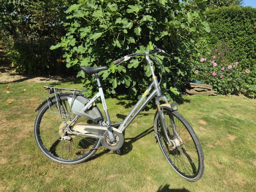 Gazelle allure limited dames framemaat 53, Ophalen, Gebruikt, 50 tot 53 cm, Gazelle