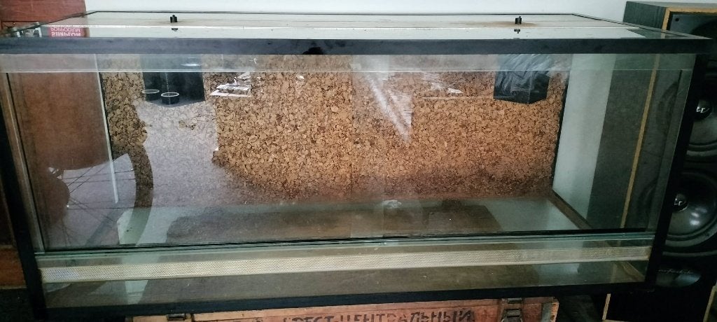 Mooi en gaaf groot terrarium 120x50x50, Ophalen, Zo goed als nieuw, Terrarium of Paludarium