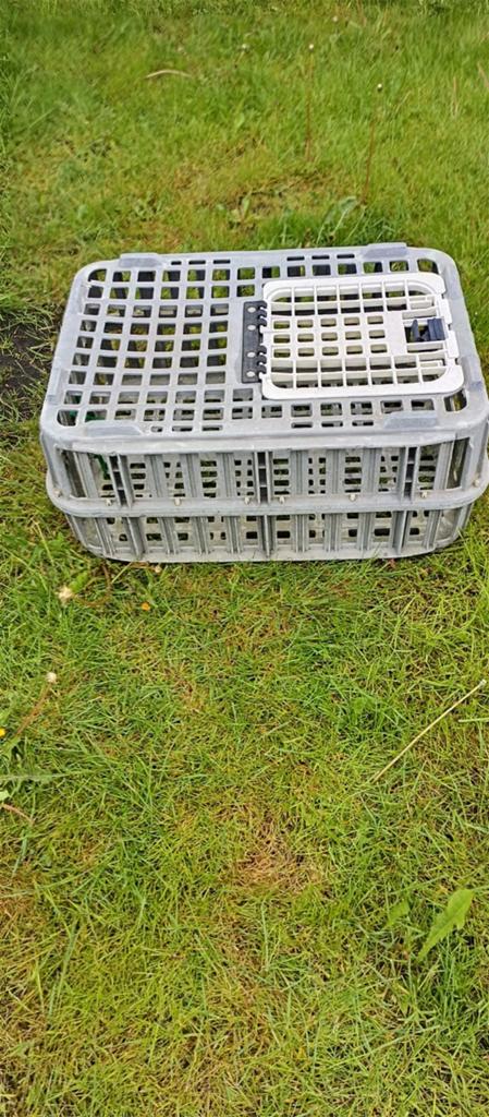 Kooi, Dieren en Toebehoren, Ophalen of Verzenden, Hout, Vogelkooi