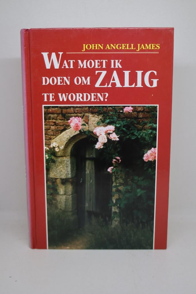 Wat moet ik doen om zalig te worden? - John Angell James, Ophalen of Verzenden