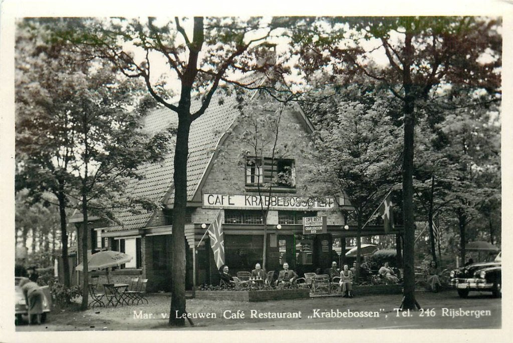 701-179-049 Rijsbergen Krabbebossen, Verzamelen, Verzenden, Voor 1920, Noord-Brabant