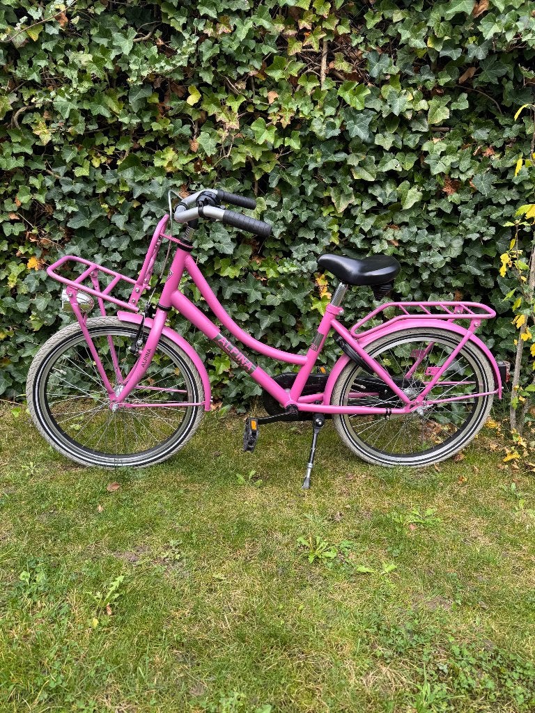 Meisjes fiets 20 inch alpina cargo, Ophalen, Terugtraprem, Gebruikt, Alpina