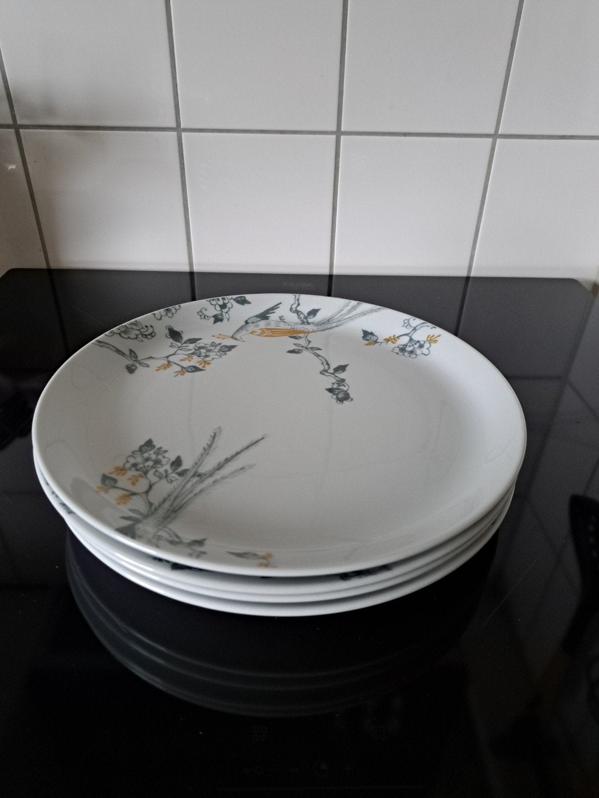 Vivo Villeroy & Boch Group dinerborden met vogelprint, Vivo, Ophalen of Verzenden, Zo goed als nieuw, Bord(en)