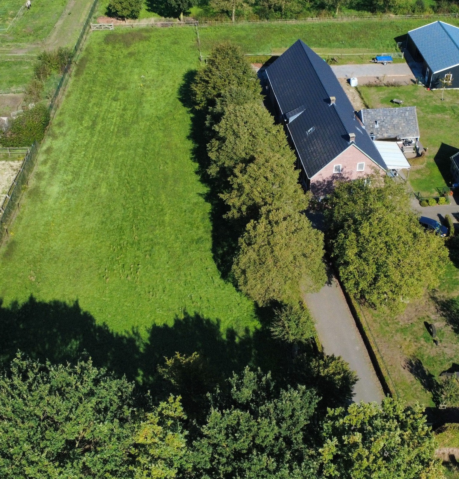 Wei voor paard of pony, Weidegang