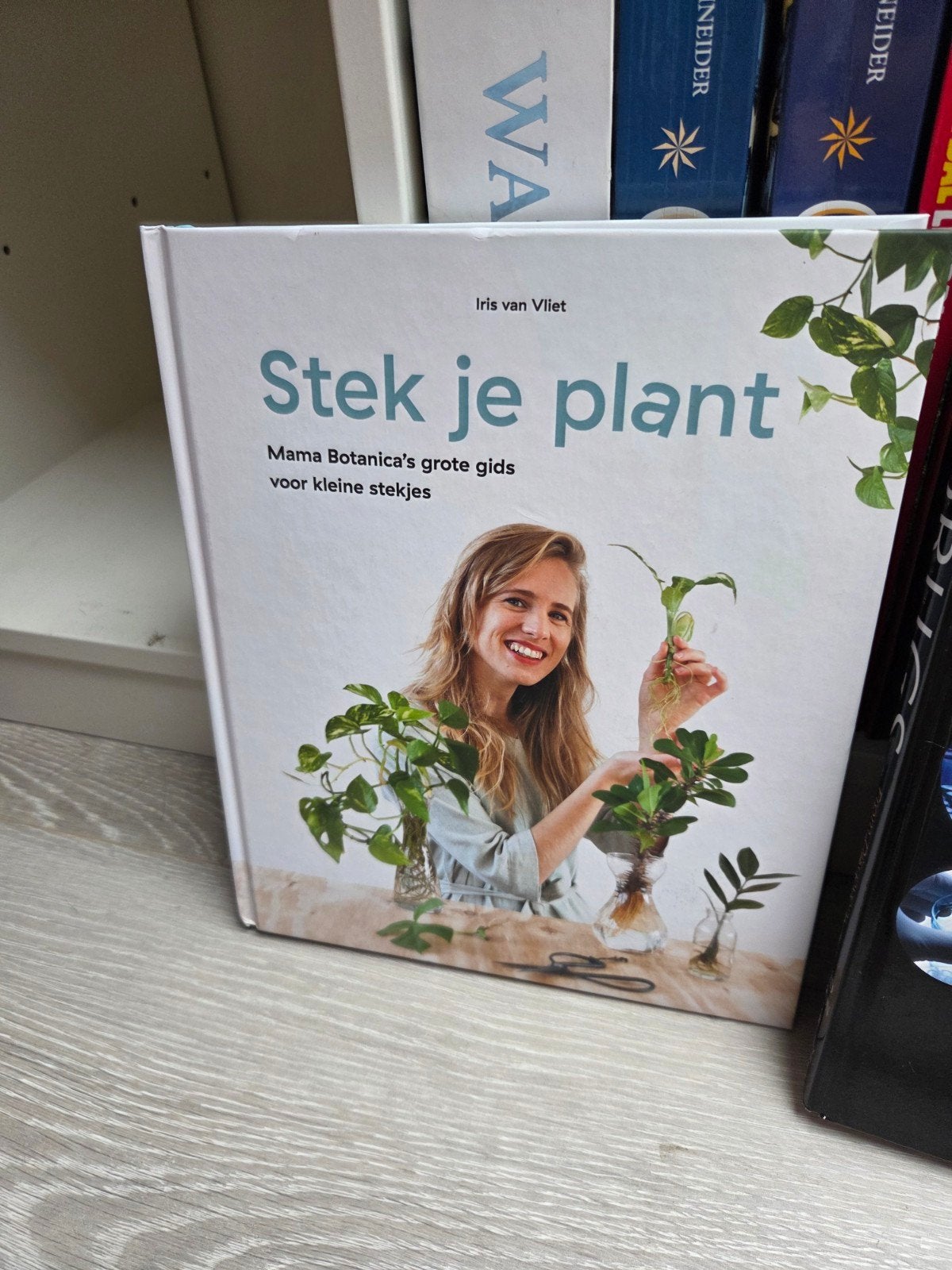 Iris van Vliet - Stek je plant, Boeken, Ophalen of Verzenden, Zo goed als nieuw, Natuur algemeen