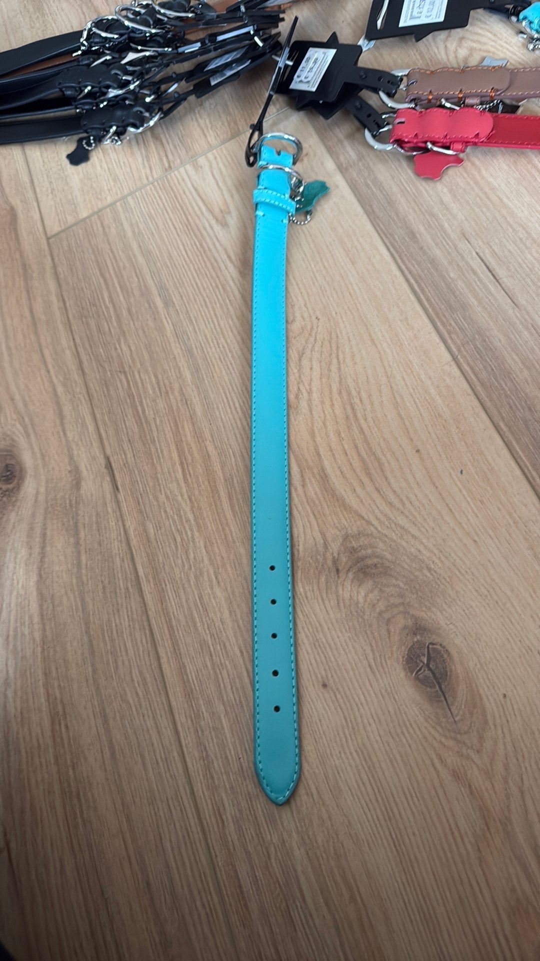 Honden halsband, Dieren en Toebehoren, Ophalen of Verzenden, Nieuw