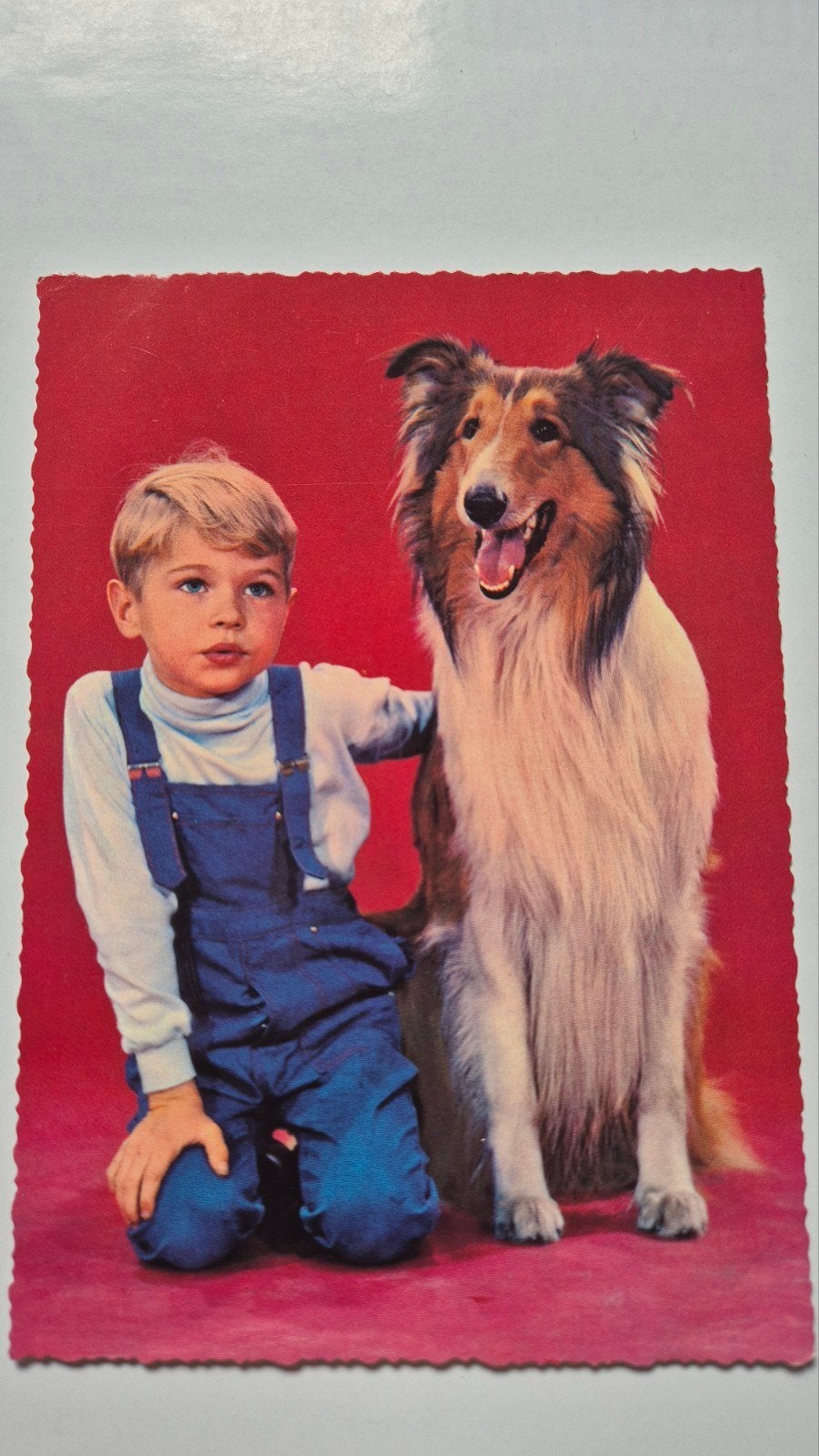Vintage Ansichtkaart: Jongen met Collie Hond (Lassie), Ophalen of Verzenden, 1960 tot 1980, Gelopen
