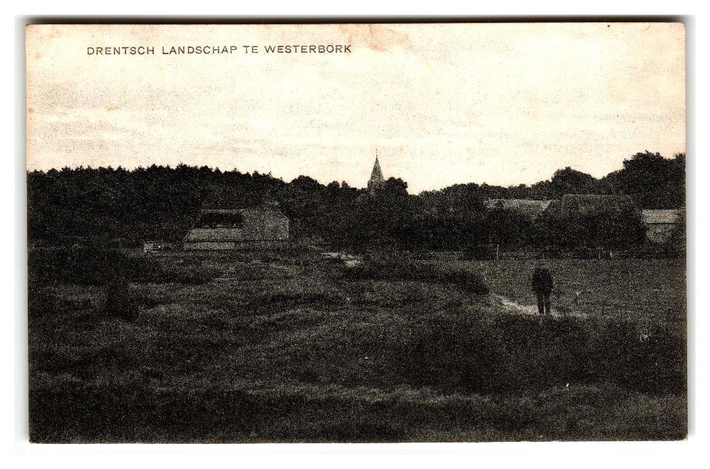 Westerbork, Drentsch Landschap te Westerbork, Verzenden, 1920 tot 1940, Ongelopen, Drenthe