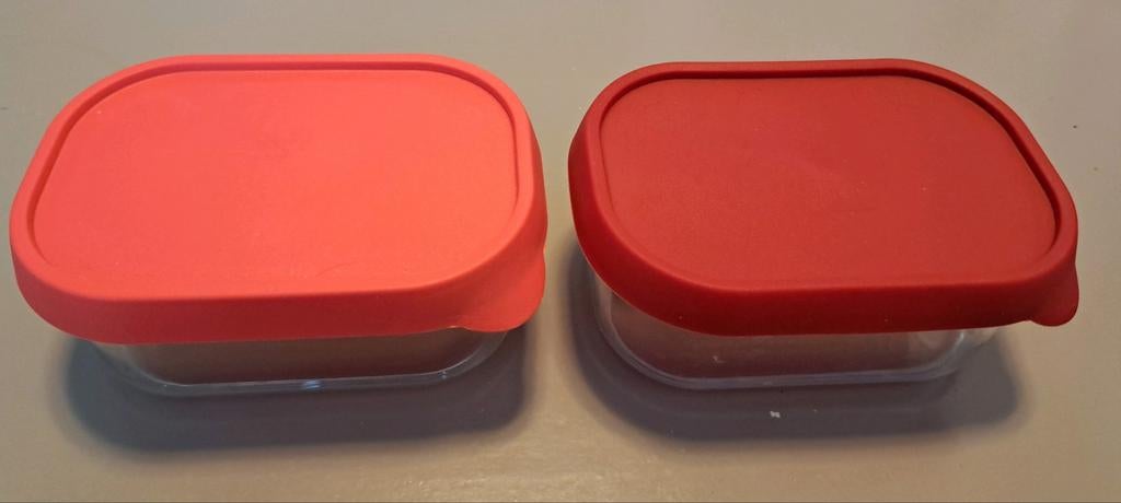 Set van 2 Mepal bakjes met deksel, voor bijvoorbeeld fruit, Ophalen of Verzenden, Bak of Kom