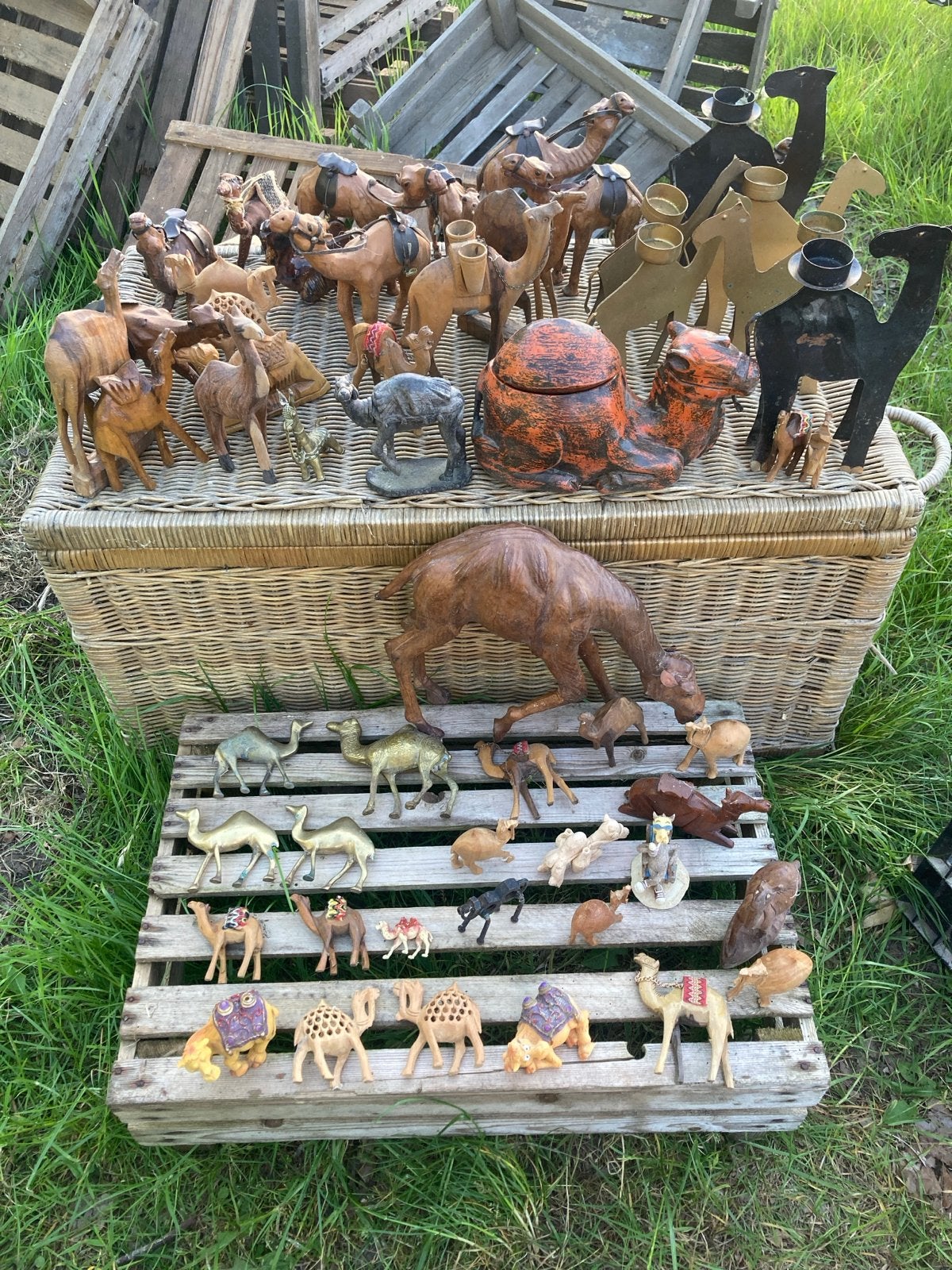 Grote verzameling kamelen en dromedarissen beeldjes, Ophalen of Verzenden, Gebruikt, Beeldje of Figuurtje
