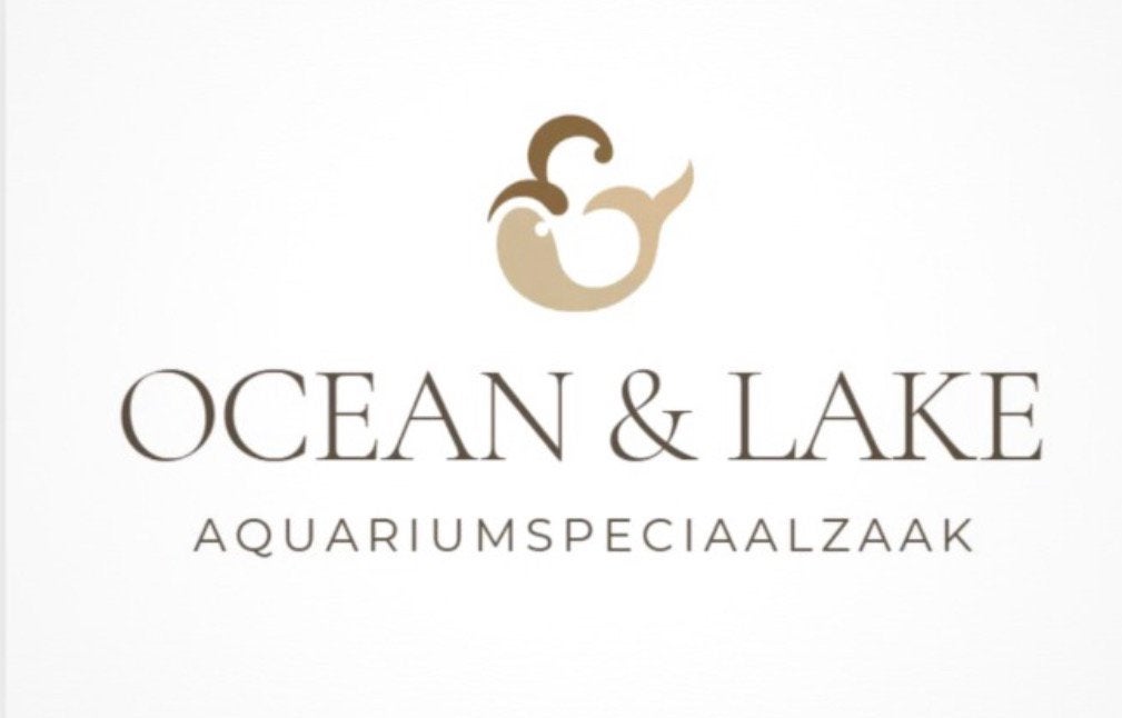 Zoutwater & Zoetwater - meer in de winkel dan online!, Ophalen of Verzenden, Zo goed als nieuw