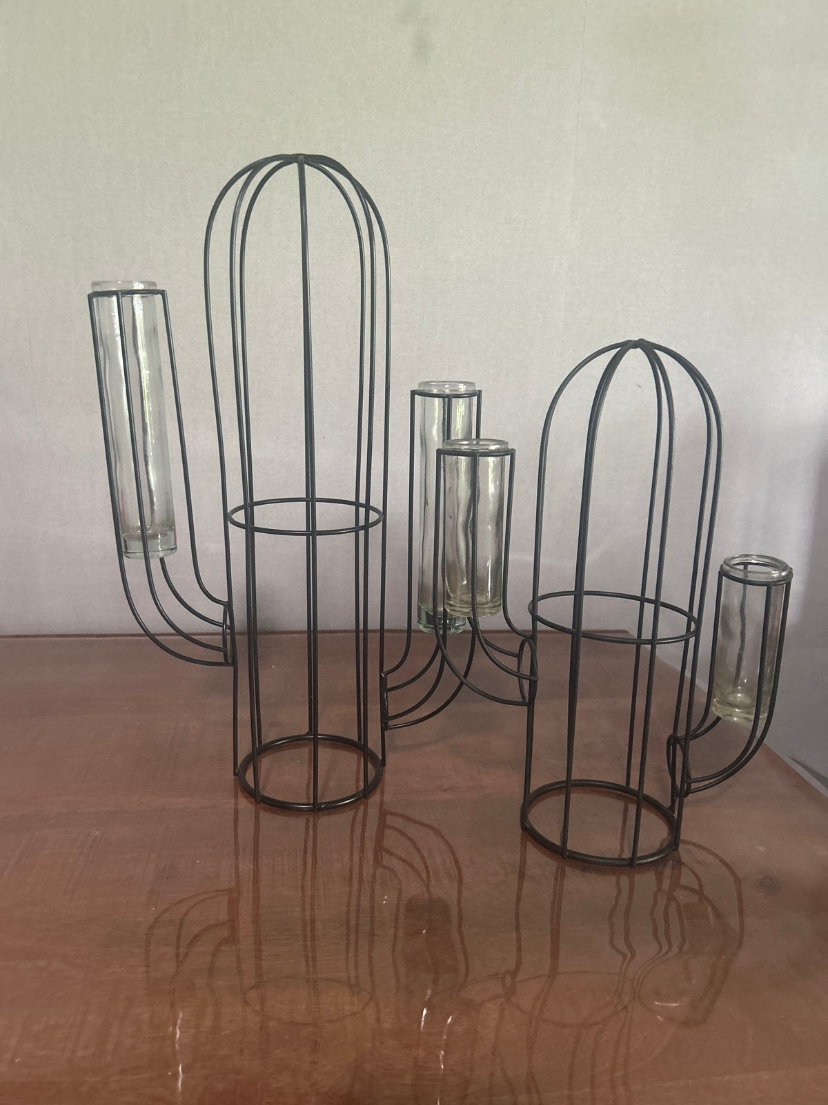 Set van 2 metalen cactussen met glazen buisjes - 30/40 cm, Ophalen, Gebruikt, Zwart, Metaal