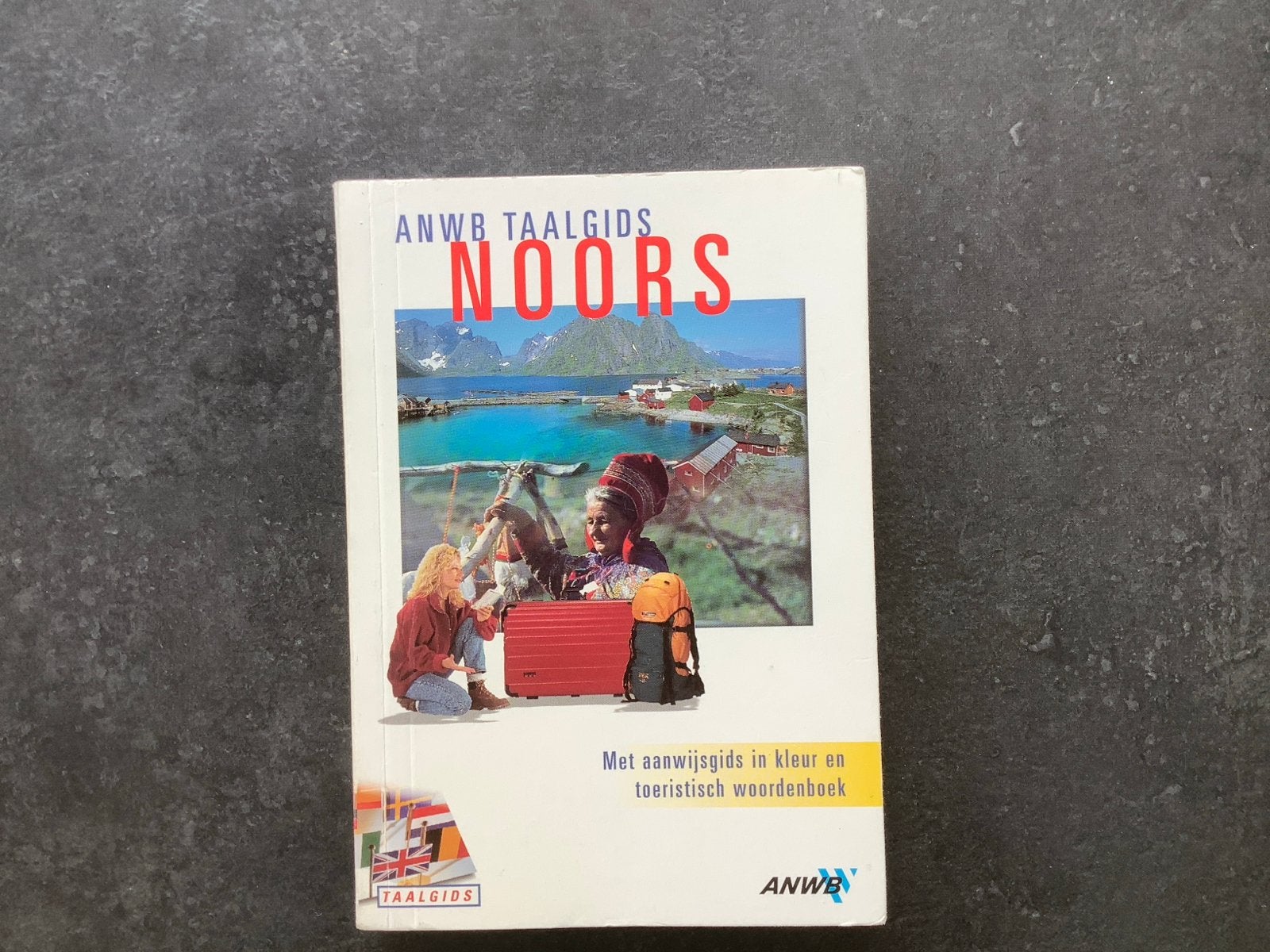 ANWB Taalgids Noors - Leer Noors voor je reis, Boeken, Ophalen of Verzenden, Gelezen, Non-fictie