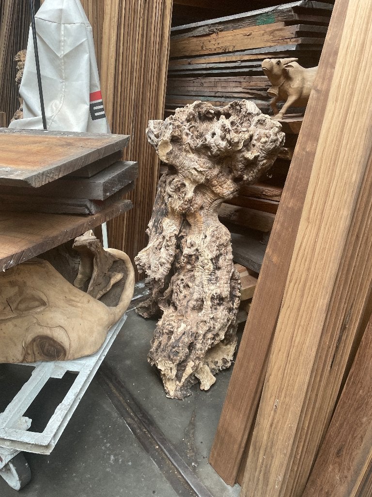 Olijfhout stronk wortel stam, Ophalen, Overige typen, Hout, Nieuw