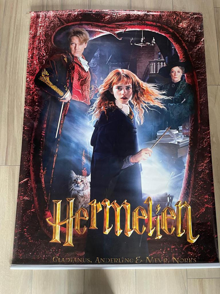 Harry Potter en de geheime kamer film poster vinyl, Verzamelen, Harry Potter, Ophalen, Zo goed als nieuw, Overige typen