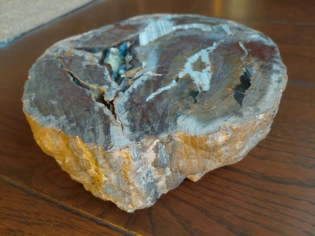 Grote Thunderegg uit Patagonië Bariloche – agaat/chalcedoon, Verzamelen, Mineralen en Fossielen, Mineraal, Ophalen of Verzenden