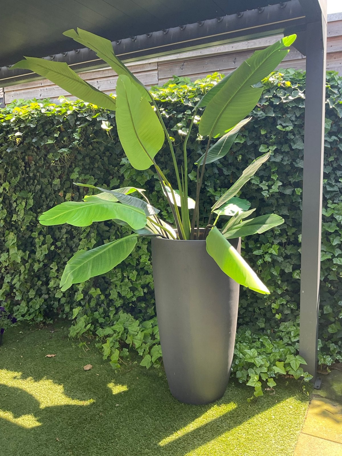 Grote kunststof pot met kunstplant - Prachtig!, Tuin en Terras, Bloembakken en Plantenbakken, Zo goed als nieuw, Kunststof, Binnen